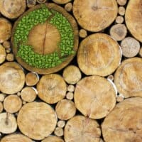 Pour une construction durable en bois en Europe
