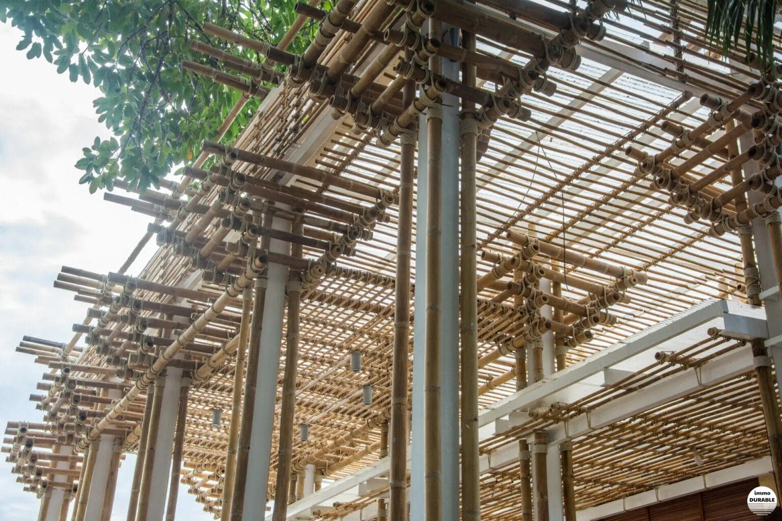 Architecture en bambou : Un choix de construction durable