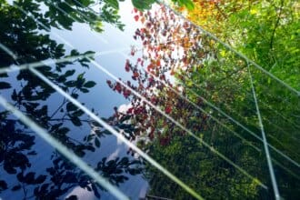 Des panneaux solaires sur les toits des bâtiments publics parisiens