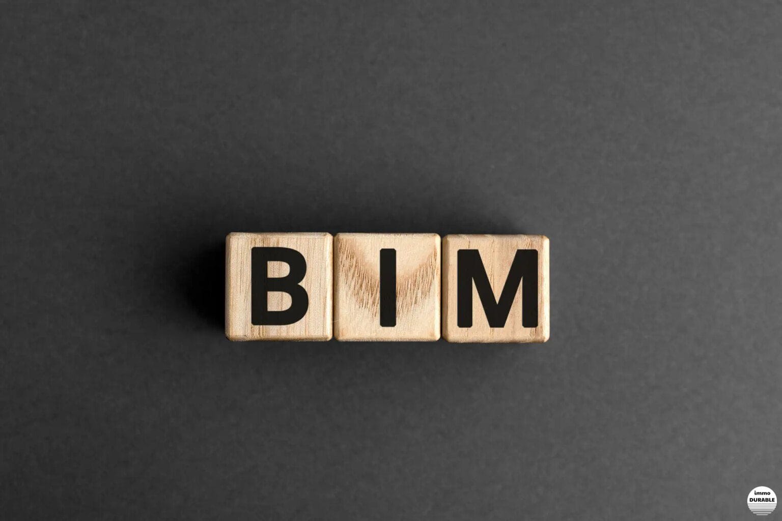 BIM pragmatique, l'enquête…