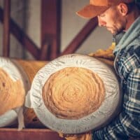 Matériaux biosourcés : l’avenir de la construction durable