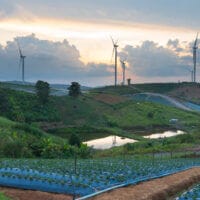L'importance des énergies renouvelables dans la transition écologique mondiale