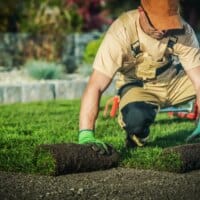 Emplois verts : comprendre les opportunités passionnantes qu'ils offrent