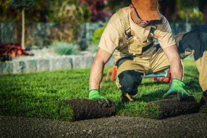 Emplois verts : comprendre les opportunités passionnantes qu'ils offrent