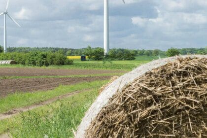 Intégrer la biodiversité dans les projets photovoltaïques et éoliens terrestres : 80 leviers d’actions et pistes de réflexion