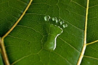 Point P. et Ecocem mettent en œuvre des ciments bas carbone