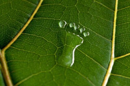 Point P. et Ecocem mettent en œuvre des ciments bas carbone