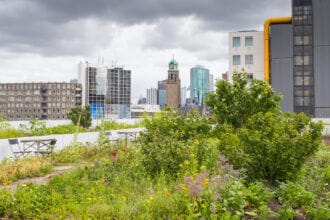L'importance de la végétalisation des toits pour optimiser la résilience des villes françaises
