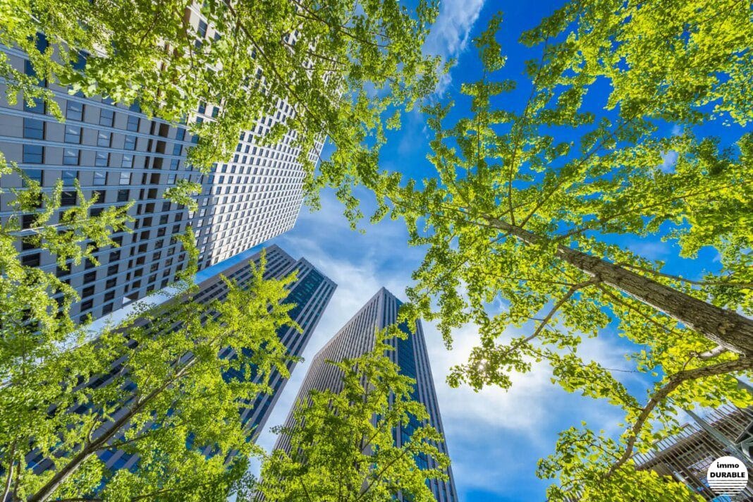 Les bâtiments verts : vers une construction plus respectueuse de l'environnement