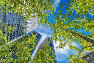 Les secrets des bâtiments verts : écoconstruction et énergies renouvelables