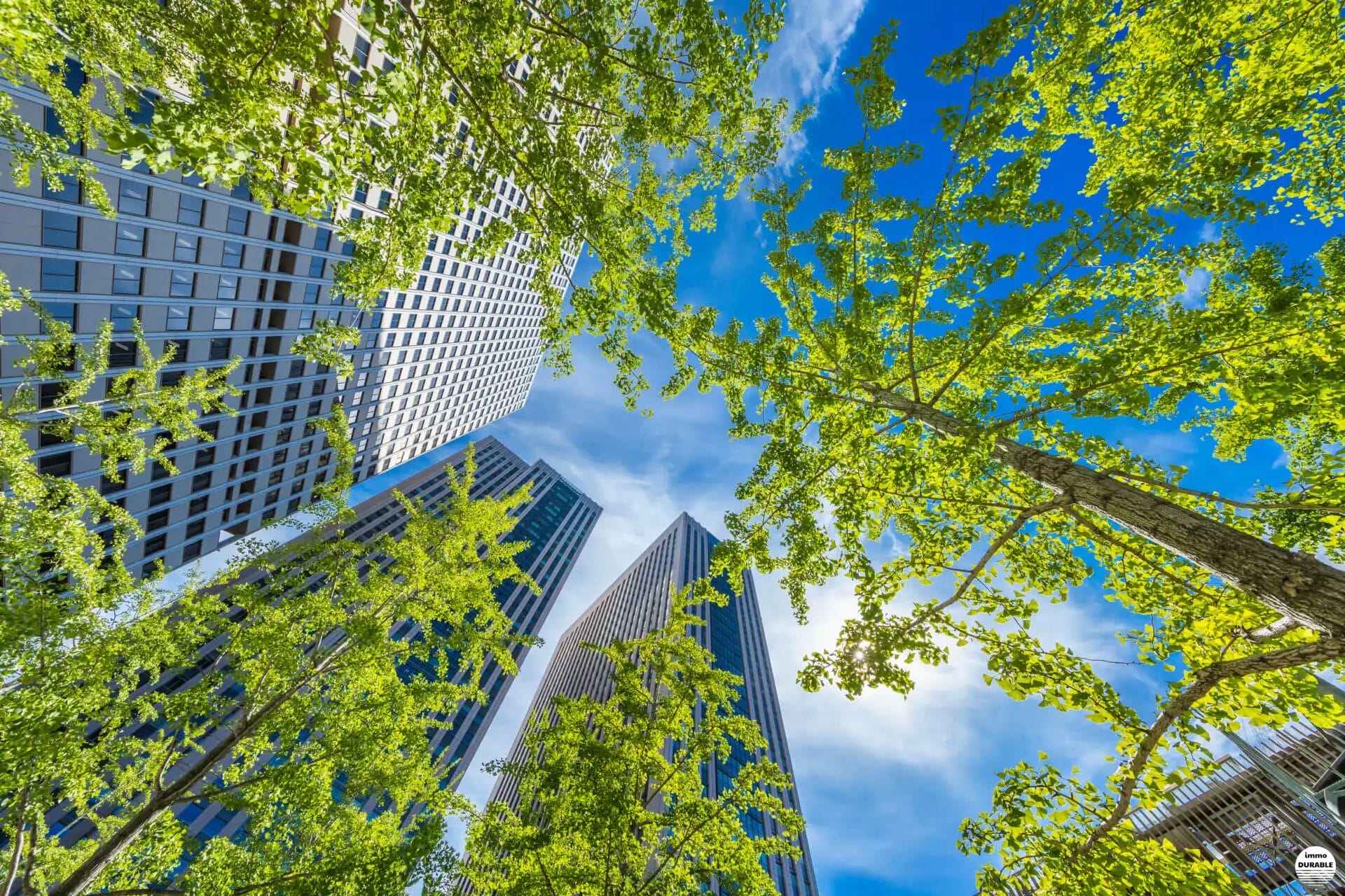 Les secrets des bâtiments verts : écoconstruction et énergies renouvelables