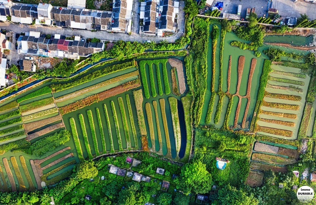 L'impact environnemental dans l'immobilier : un manque de comparabilité des indicateurs