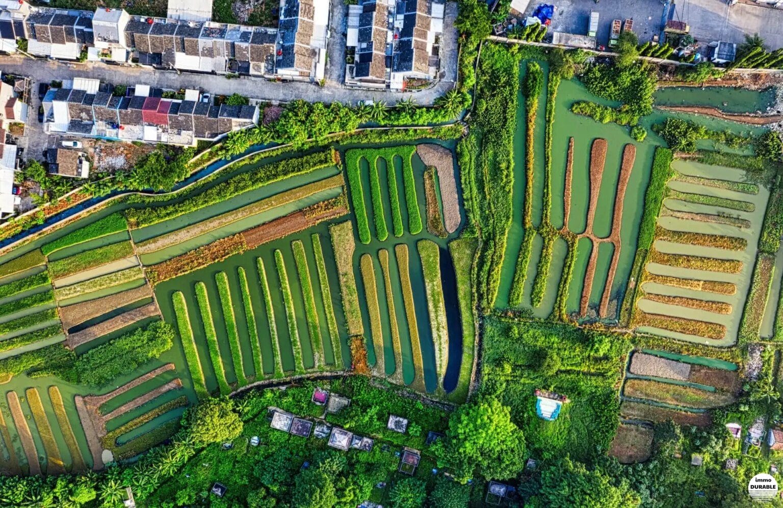 Réintroduire la nature en ville : une stratégie essentielle pour la construction durable