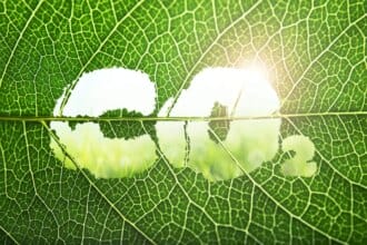 Innovation et écologie : les clés pour une construction faible en émissions de CO2