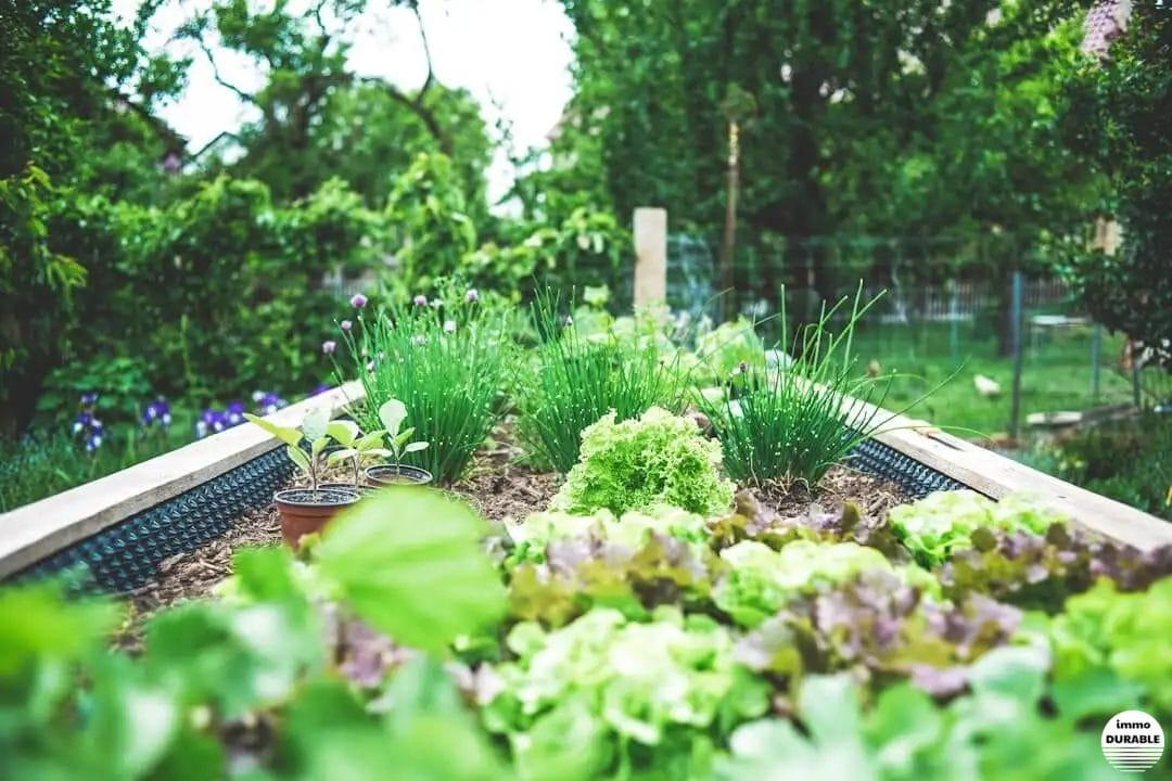 Guide pratique pour créer des jardins communautaires en milieu urbain pour renforcer la résilience climatique