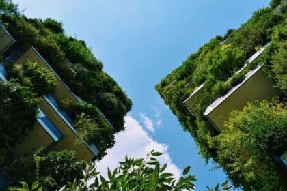 Les 10 meilleures solutions de design éco-friendly pour la construction durable