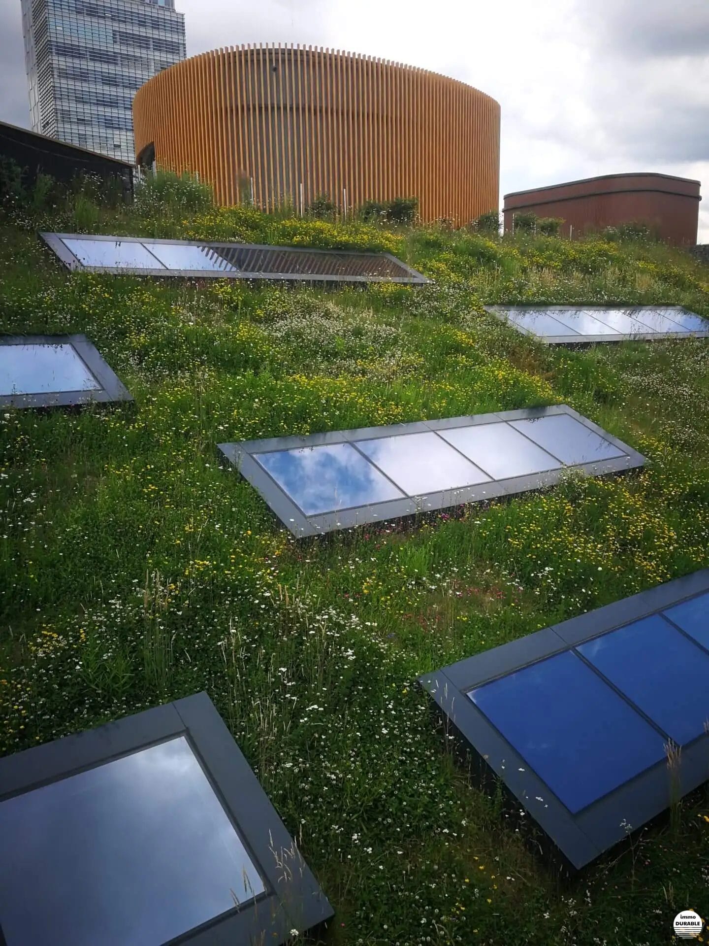 GreenRoofScore : évaluer les toits verts pour des villes plus durables