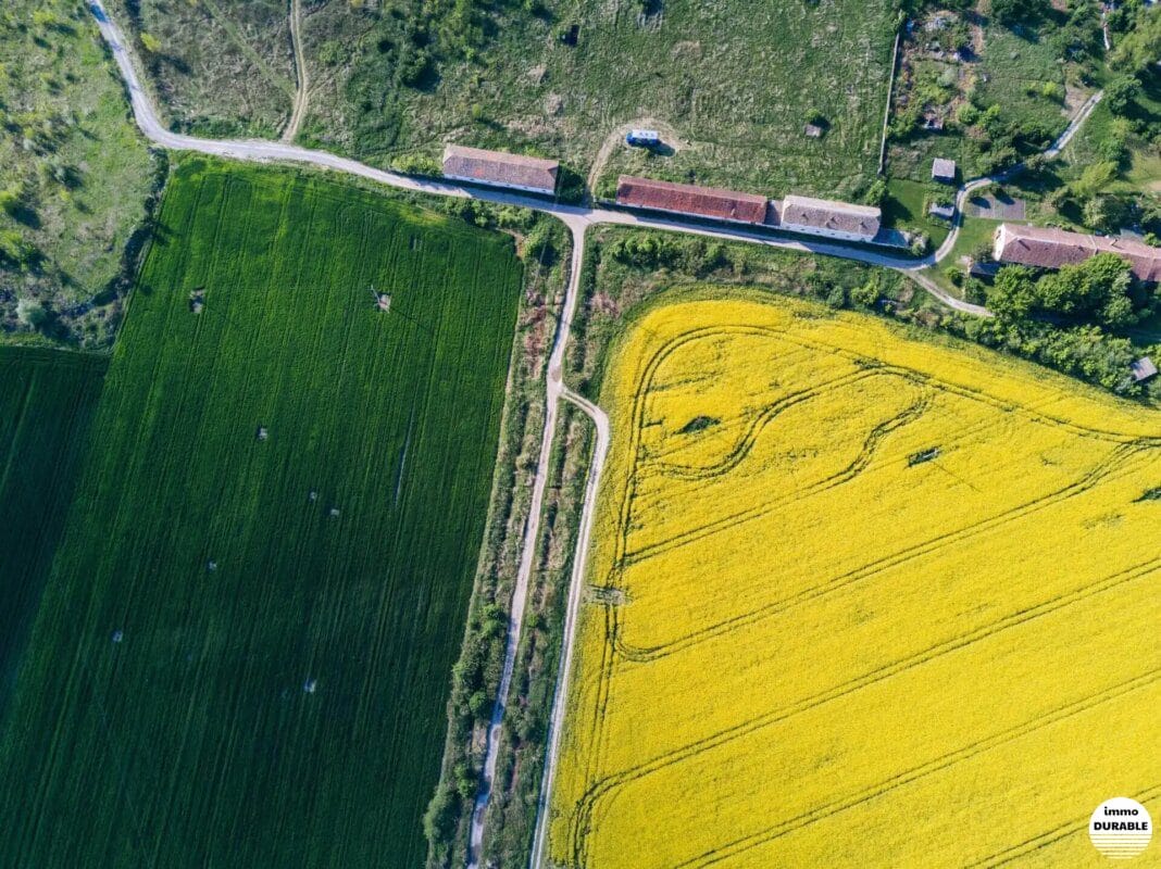 Construire vert : pourquoi opter pour les matériaux biosourcés ?