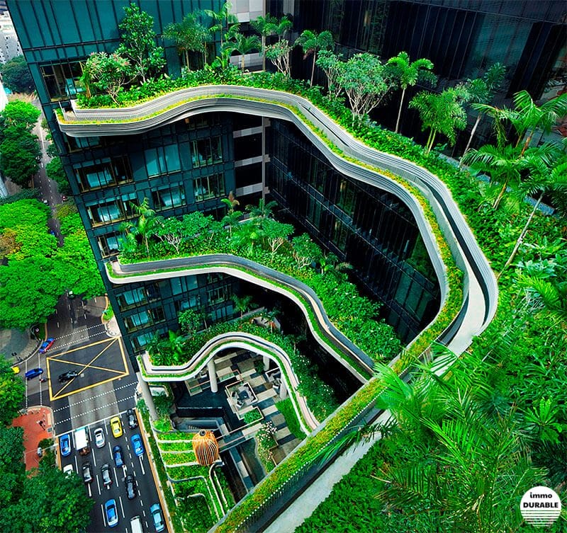 Villes durables : la clé de l'intégration des espaces verts en milieu urbain