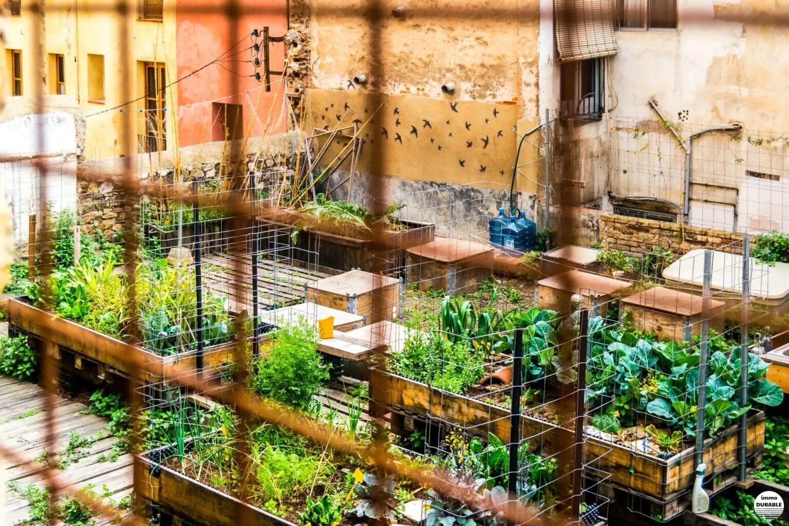 Projets d'agriculture urbaine favorisant la sécurité alimentaire et la santé dans les quartiers défavorisés