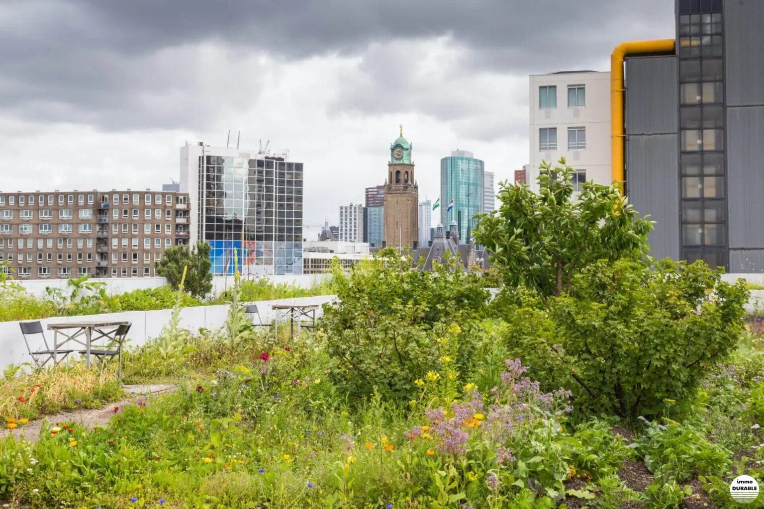 Comment les toits verts peuvent-ils atténuer l'effet d'îlot de chaleur urbain ?