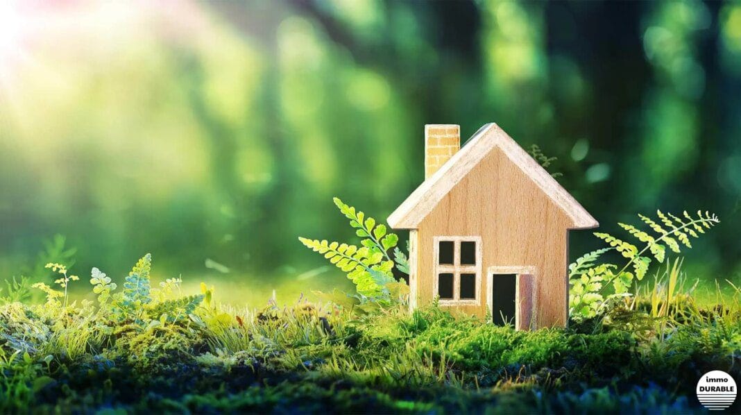 Comment rendre votre maison plus écologique en 10 étapes simples