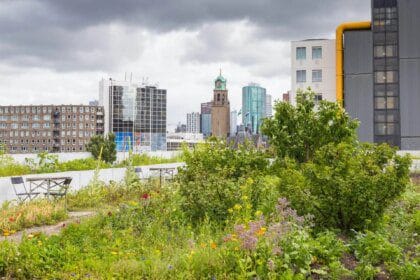 Projets de durabilité urbaine: stratégies de résilience en face du changement climatique