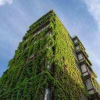 Architecture durable et écologique : guide complet pour une construction verte