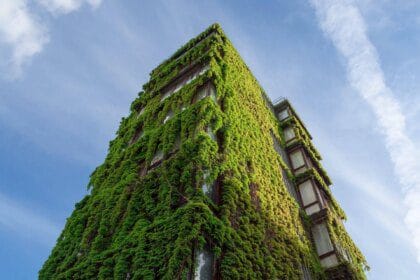 Architecture durable et écologique : guide complet pour une construction verte