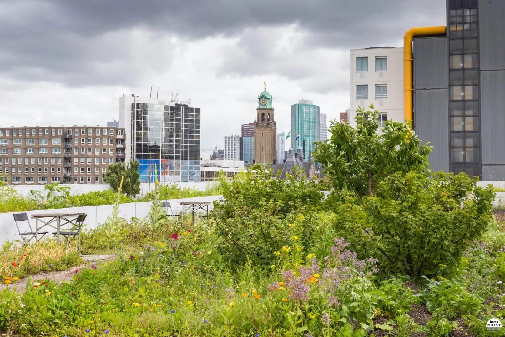 Découvrez les initiatives innovantes pour la durabilité urbaine