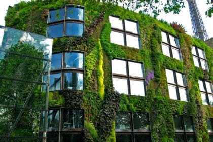 Les économies d'énergie grâce aux façades bioclimatiques : un investissement rentable !