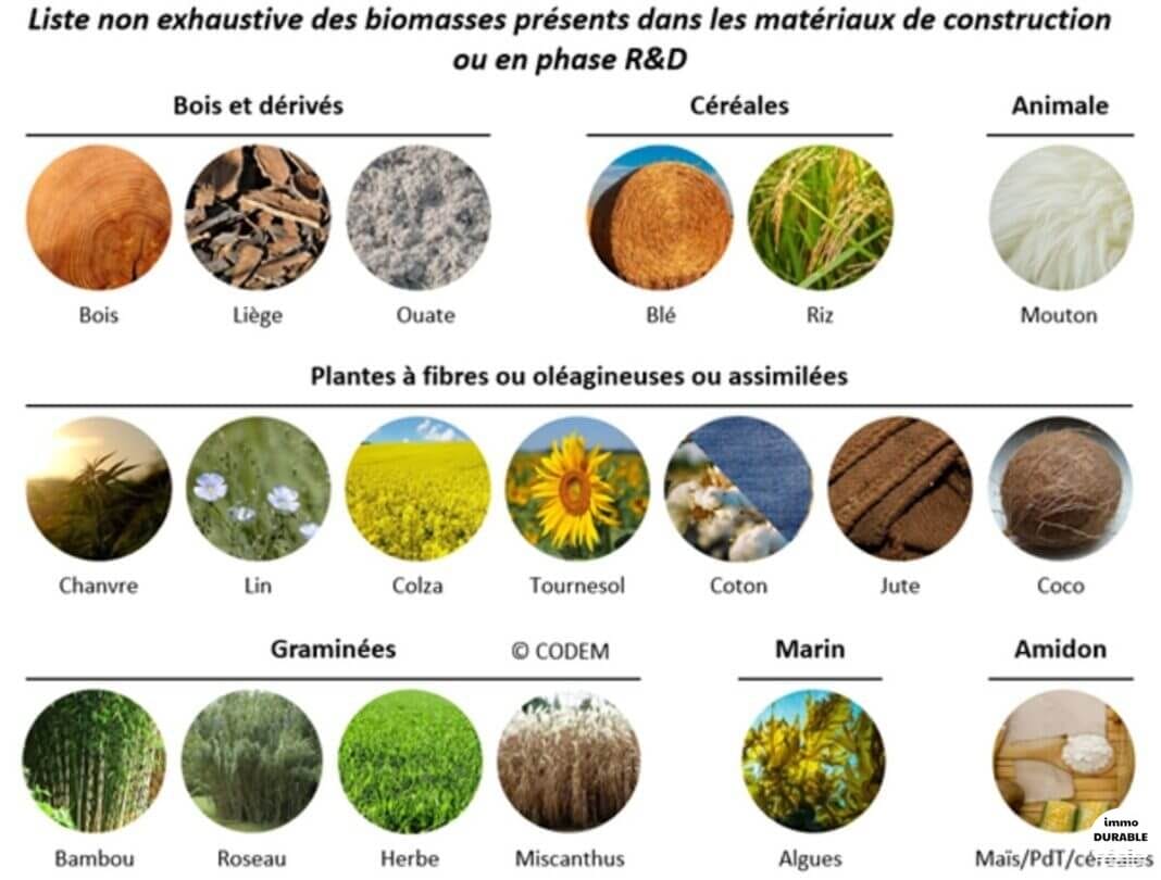 Construire vert : pourquoi opter pour les matériaux biosourcés ?