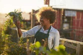 Guide pratique pour créer des jardins communautaires en milieu urbain pour renforcer la résilience climatique