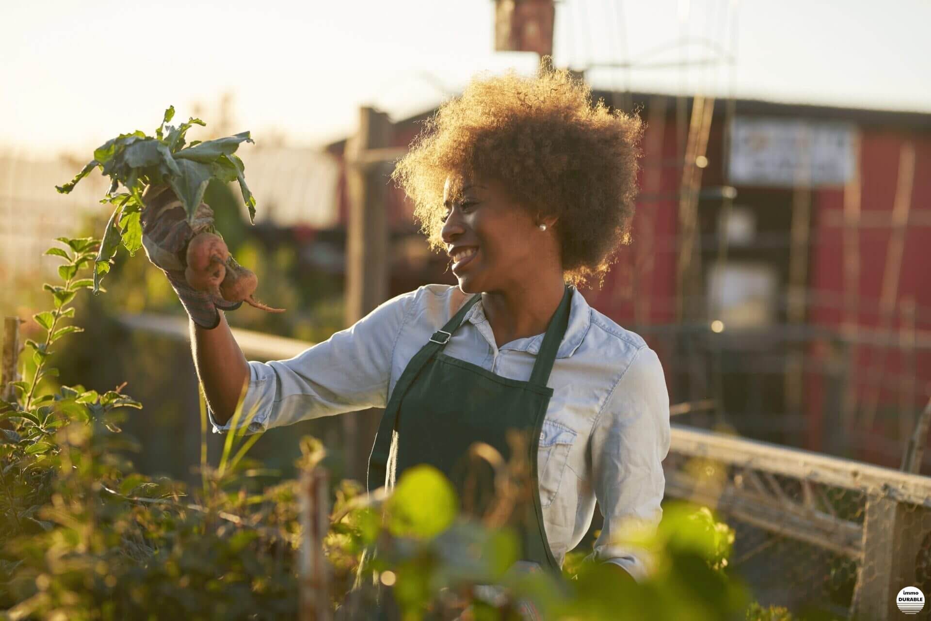 Guide pratique pour créer des jardins communautaires en milieu urbain pour renforcer la résilience climatique