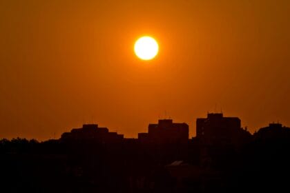 Intégration réussie de l'infrastructure verte pour lutter contre les îlots de chaleur urbains