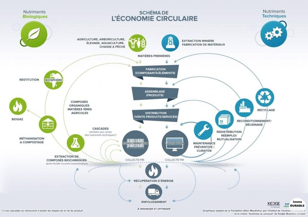 Les défis de l'économie circulaire dans la construction : une analyse approfondie